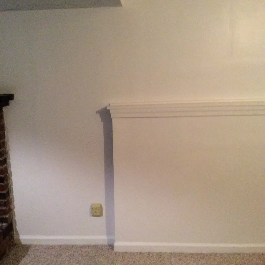 Basement wall repair and restoration in Oldsmar