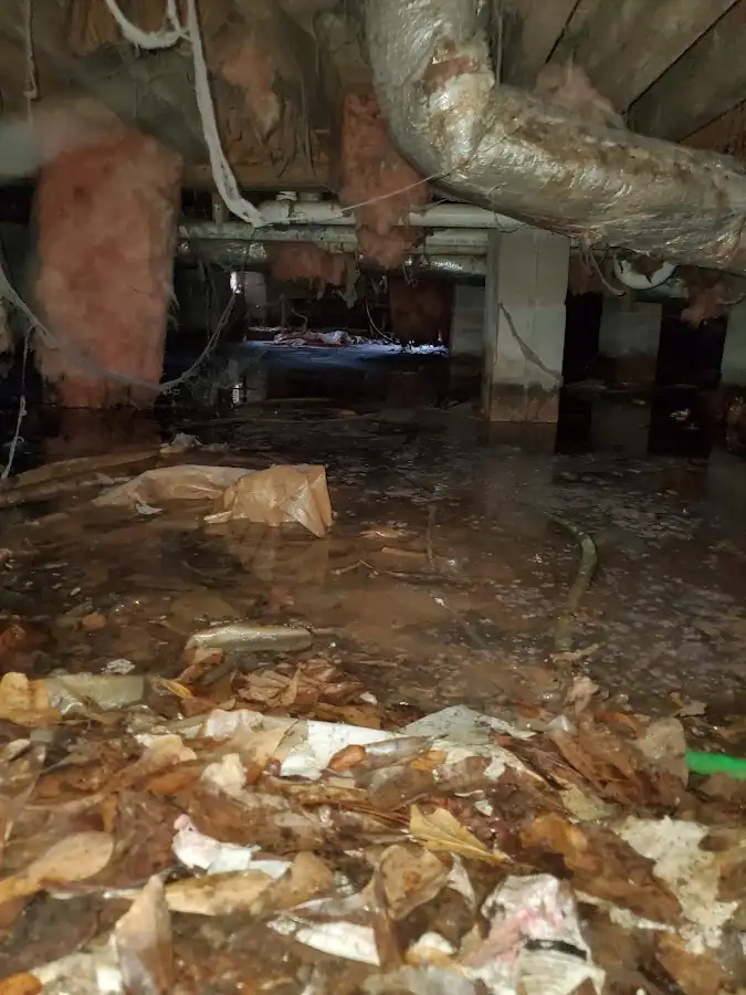 Crawl space flood assessment for Commercial Water Damage Restoration in Oldsmar
