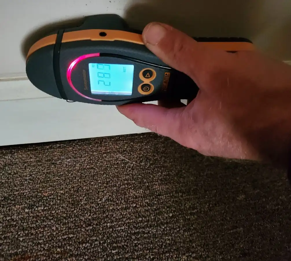 Moisture detection at baseboard during Sewage Cleanup & Sanitation in Oldsmar
